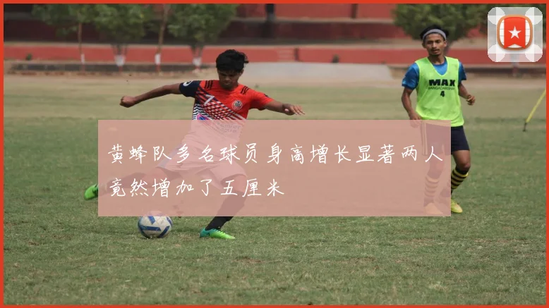 黄蜂队多名球员身高增长显著两人竟然增加了五厘米