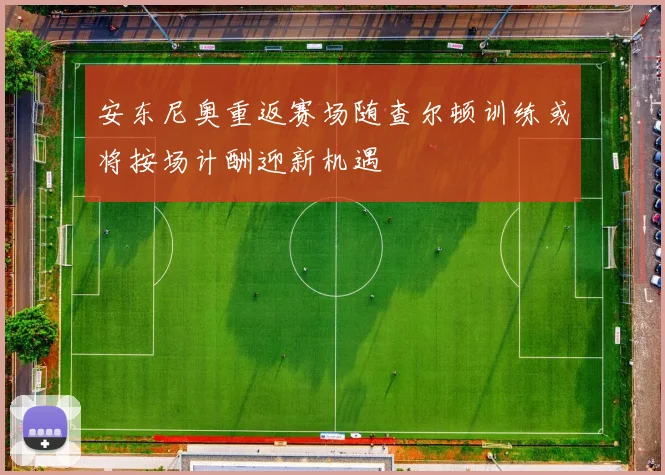 安东尼奥重返赛场随查尔顿训练或将按场计酬迎新机遇