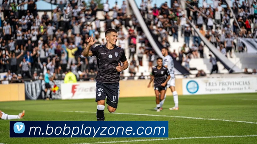 BOB体育平台生态图