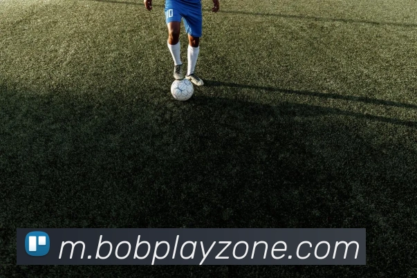 BOB体育APP 封面图